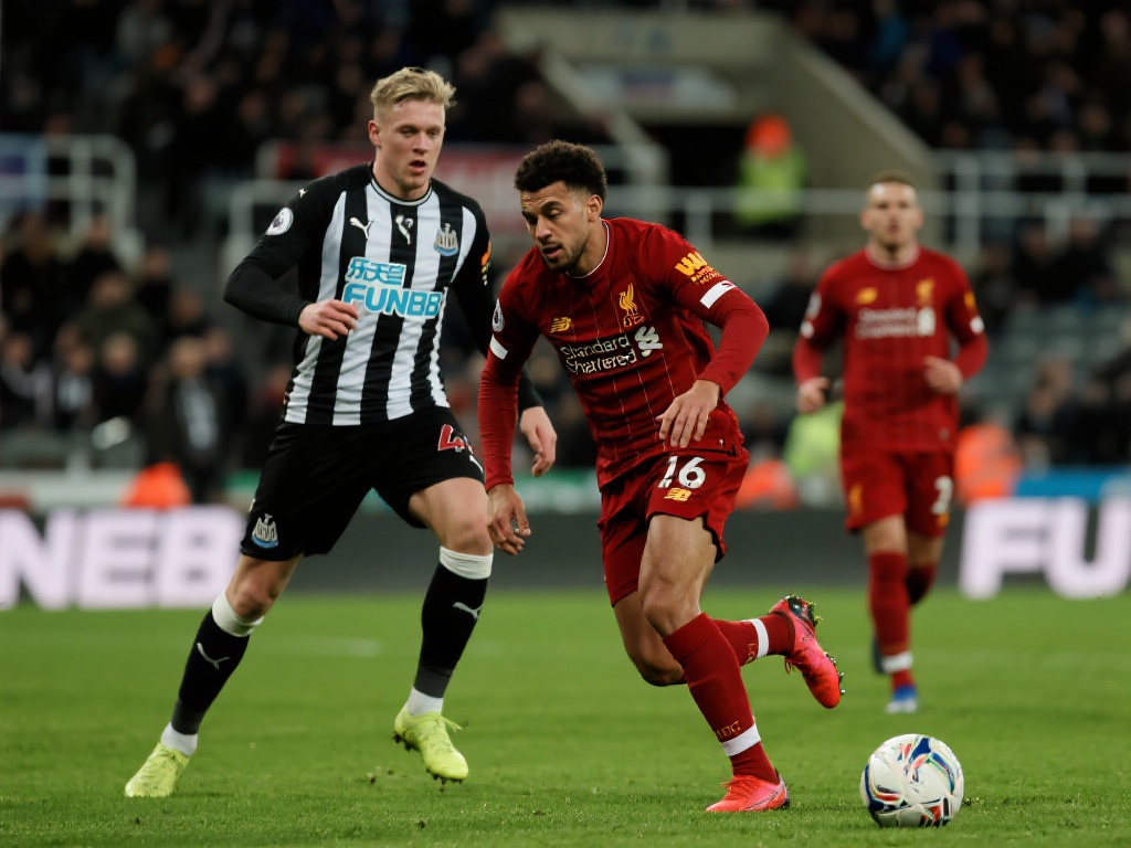 这格局真的 这格局真的